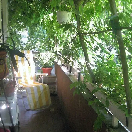 Casa Rebelde *