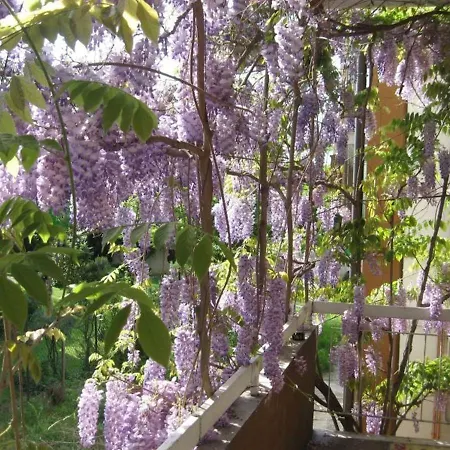 Homestay Casa Rebelde Padova